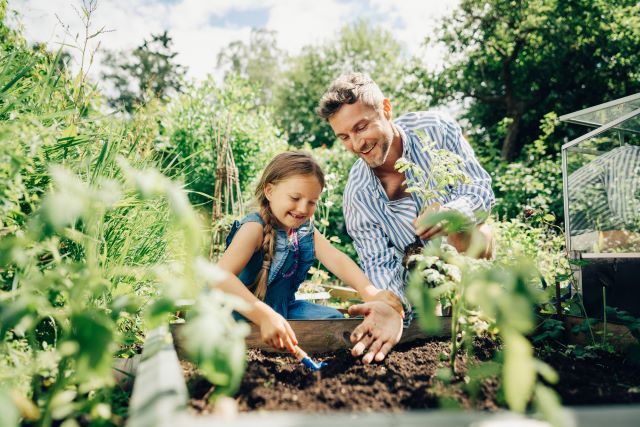Father and younger child planting in garden SMALL